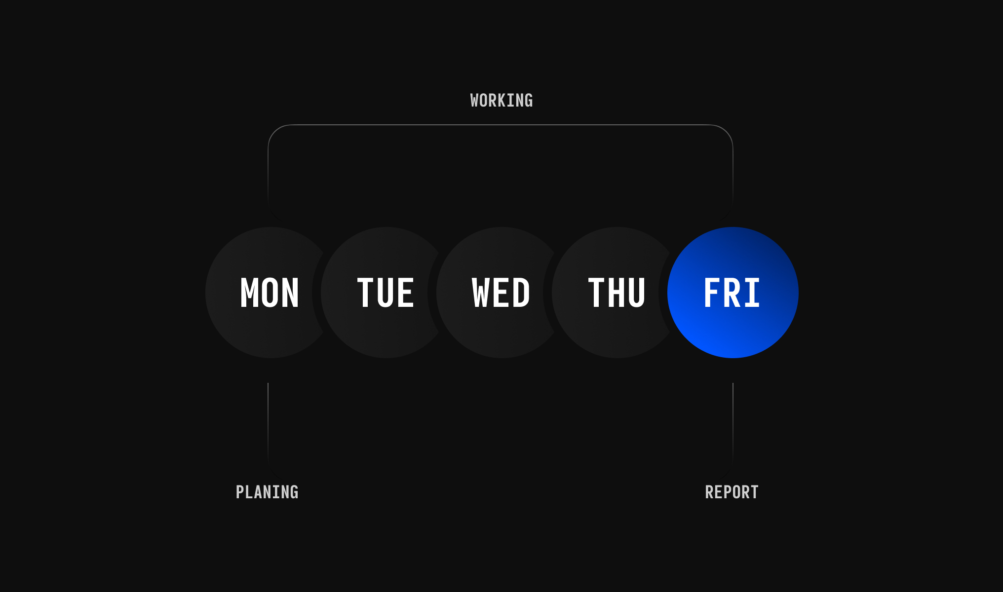 Weekly Reporting